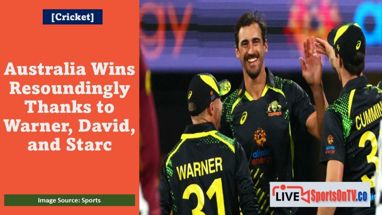 Australia Wins Resoundingly Thanks to Warner, David, and Starc Featured Image